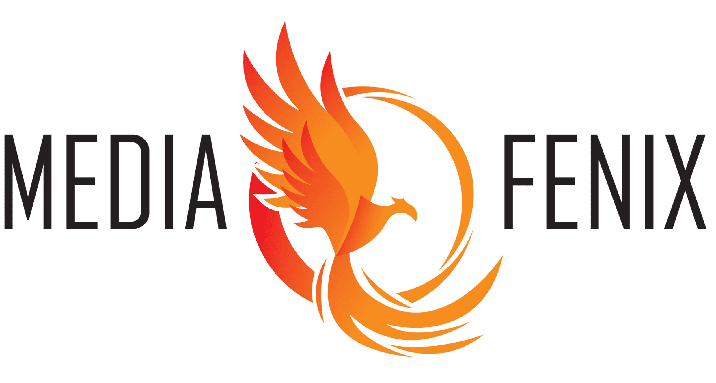 MediaFenix_Logo-e32189ad34ddfd070e9b5a8e4aa540c8